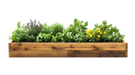 Lush wooden raised garden bed filled with various greenery and flowers