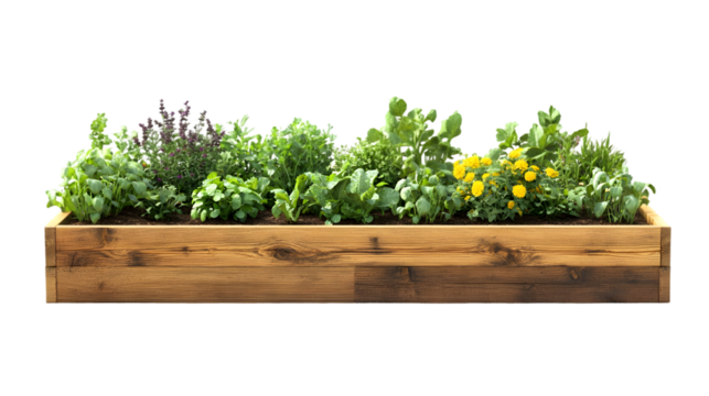 Lush wooden raised garden bed filled with various greenery and flowers