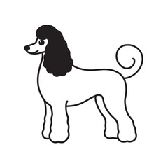 Poodle Standing In Show Cut Silhouette