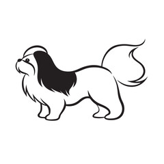 Shih Tzu Walking Gently On Path Silhouette