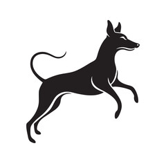 Basenji Leaping In Joyful Play Silhouette