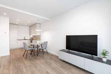 Modern Home Open-Plan Living and Kitchen Area with Stylish Decor Elements