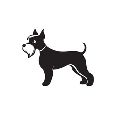 Mini Schnauzer Bowing Down To Play Silhouette