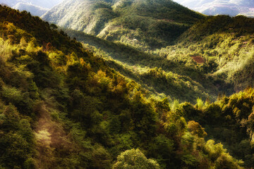 Sapa mountain under afternoon sunlight - View from Cable car - going down from Fansipan peak - Lao Cai, Vietnam