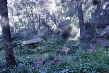 SENDERO SANTO DE PIZARRA. ANDALUCIA. 