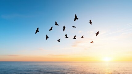 Obraz premium Birds Flying Sunset Ocean Silhouette