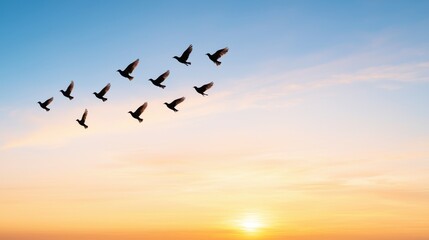 Fototapeta premium Birds Flying Sunset Silhouette, Freedom Concept