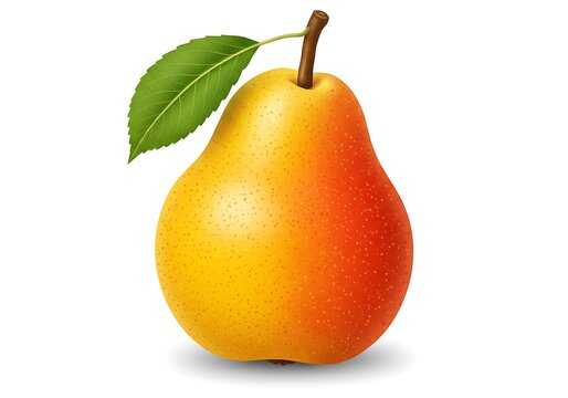 A ripe, juicy pear, a healthy and sweet fruit, is isolated on a fresh white background