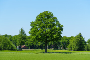 Landschaft im Frühling