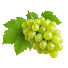 Fototapeta premium Juicy Green Grapes on the Vine with Leafy Stems – Transparent Background PNG