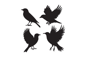 Bird Silhouette Icons Set Flying and Standing Bird Vector Illustrations