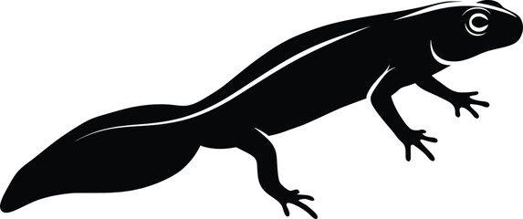 Obraz premium Elegant Vector Animal Black Silhouette of a Newt