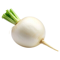 "Crisp White Radish Root &ndash; Clean Cutout on Transparent Background"