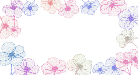 flower border frames with transparent background