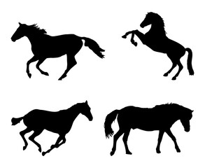 Silhouette of Four Horses in Various Poses