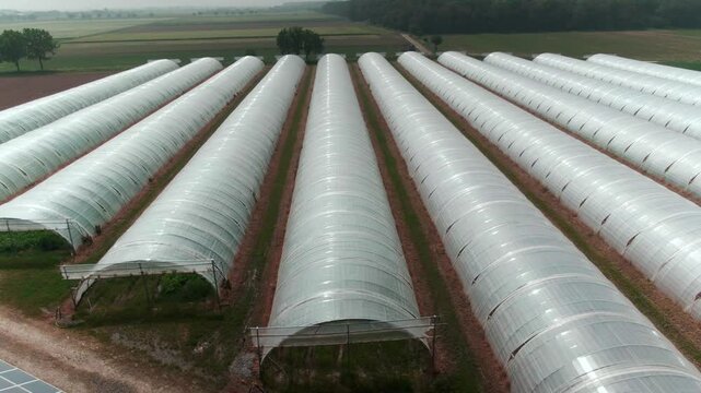 Drone Footage of Greenhouses on a Modern Farm in Europe &ndash; Aerial View of Agricultural Production