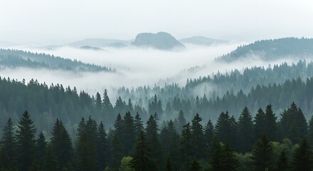 Fototapeta premium Ah, yes, that image certainly paints a picture of tranquility! The way the fog weaves through the evergreen forests and partially veils the mountain peaks creates such a peaceful and almost mystical a