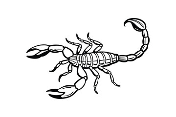Line art illustration of a scorpion.eps