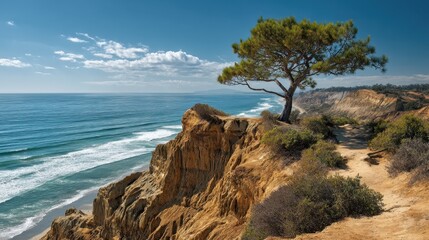 Stunning Coastal Views: Torrey Pines Cliffs Overlooking the Pacific Ocean in California's Rugged Park