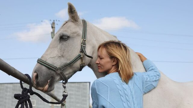 Female farmer cleaning her horse with brush. Horse grooming and animal health care concept. High quality 4k footage
