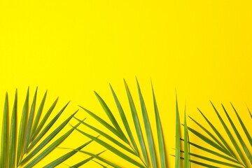 Obraz premium Green palm leaves on yellow background, top view