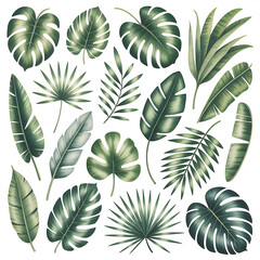 Collection of Lush Tropical Green Leaves Botanical Illustration