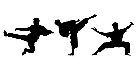 Silhouettes of Martial Artists Performing Kicks and Poses