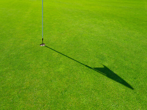 Turf for golf course covering. Sports and hobbies. Sports competitions and active recreation. Individual and team play. Grass as a background.