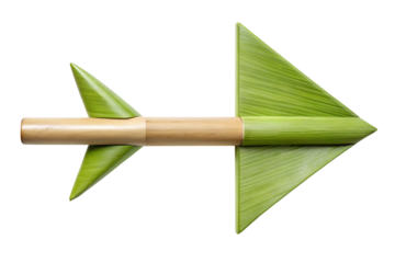 Bamboo leaf arrow direction concept isolated on transparent background.