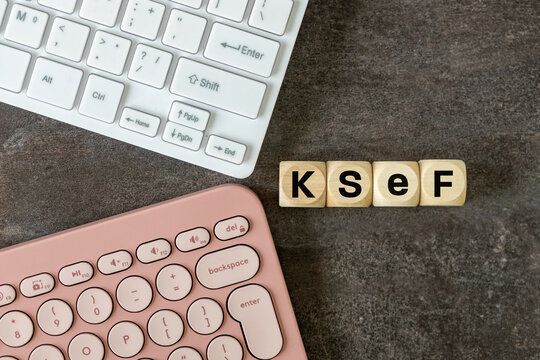 KSeF, or the National System of e-Invoice operating in Poland. Convenient invoicing, tax settlements, insurance, issuing, sending and storing structured invoices for entrepreneurs. copyspace
