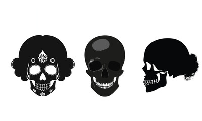 Side Profile Human Head Cross Section