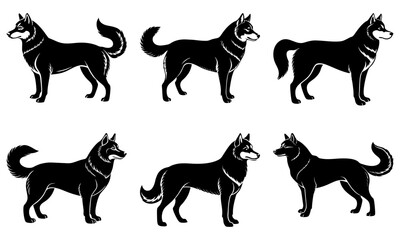 Husky Silhouette  vector