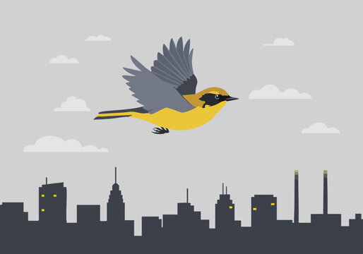 A vibrant Canadian warbler soars above a city skyline. Flat design illustration with a bright, stylized aesthetic. Perfect for travel, nature, or urban themes.