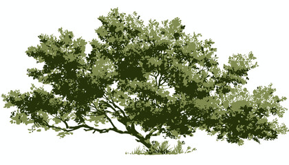 Fototapeta premium Watercolor Blooming Flower Tree Vector � Side View Green Tree for Landscape, Architecture, and Garden Section Design