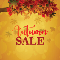 Autumn design concept with creative leaves