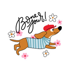 Cute cartoon dachshund vector illustration