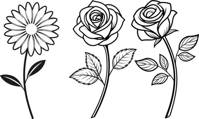 vector illustration of a rose ,Black and white silhouette of a flower with simple petals and botanical shape. 