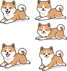 Akita Dog breed vector