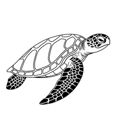 A detailed line art illustration of a sea turtle in black and white. Ideal for educational materials, coloring pages, and marine-themed designs.