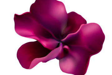 Elegant purple flower with smooth petals and a soft appearance