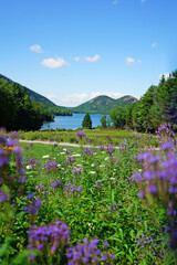 Jordan Pond in Acadia National Park with Bubble Rock in the distance, on Mount Desert Island, Maine