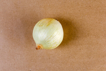 A studio still-life photograph of a single white onion isolated on a soft cream background,...