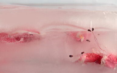 Smoke Soft focus pink flower petal through glass with frozen ice. Abstract natural blur wet...
