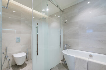 Shower and toilet behind sliding doors made of frosted glass in the bathroom interior. Stylish...