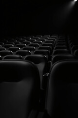 Rows of empty theater seats in a dark auditorium, black and white perspective.