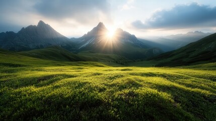Fototapeta premium An awe-inspiring view of majestic mountains illuminated by a golden sunrise casts a serene atmosphere over a lush green valley, epitomizing nature's beauty and tranquility.