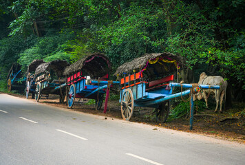  Ox with cart on the road in Sigiriya, Sri Lanka, Asia © Rechitan Sorin