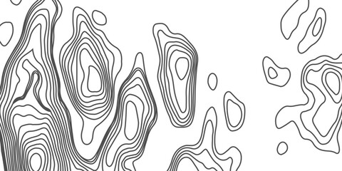 Black topographic contour lines isolated on a stark white background. drawing attention to the silent story within the landscape explore themes of solitude, structure.