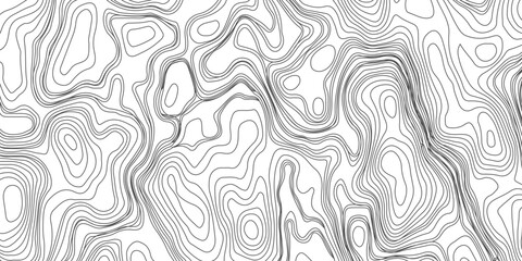 Design an artwork or concept that uses only black topographic contour lines to represent a landscape, emotion, or abstract idea. Let the absence of color heighten the focus on form, elevation, 