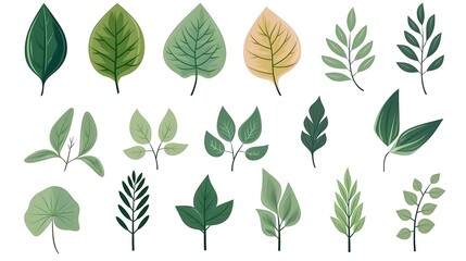 Fototapeta premium Colorful Cartoon Leaves Foliage Nature Icon Isolated Style Image for Design Projects